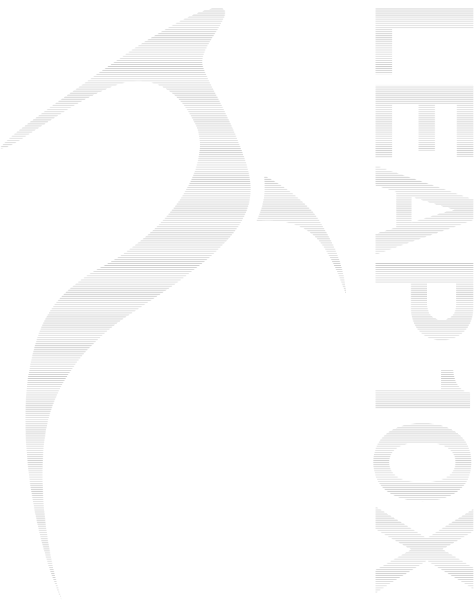 Leap 10X
